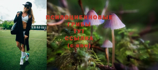 бутират Осинники