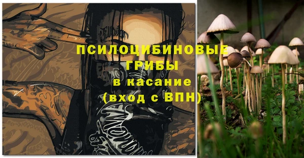 дмт Няндома