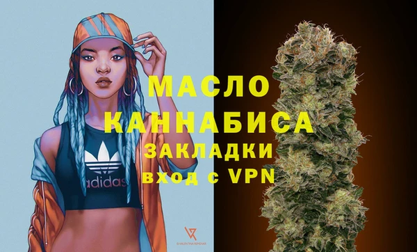 дмт Няндома
