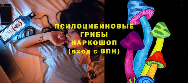 дмт Няндома