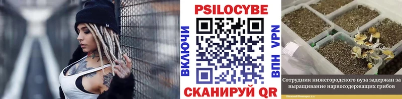 Псилоцибиновые грибы Magic Shrooms  это телеграм  Осташков 